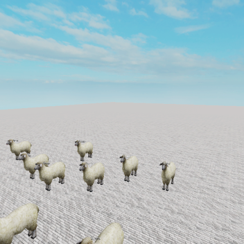 Sheep Area!