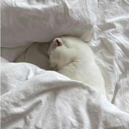 ღ