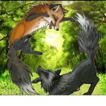 Foxy ########