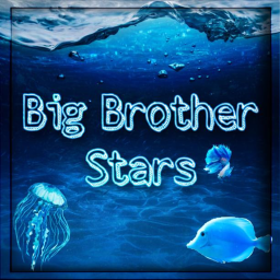 Big Brother Stars: 4