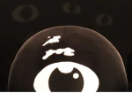 ドアーズ大好き軍団
