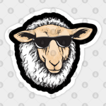 Suzysheeps