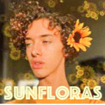 sunfloras