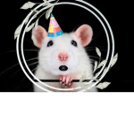 Roblox Odd Ratz