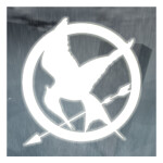 TGOP | The Second Hunger Games