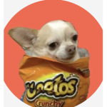 Cheeto dog gang