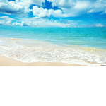 Thebeachiscool