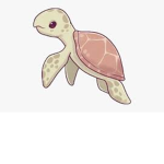 Talented Turtles