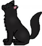 Chaos Cat