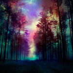 Magical animals