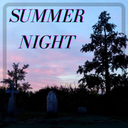 Summer Night ｡°☆