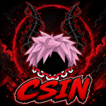 CSIN