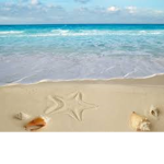 The sand and sea