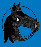 Lunar Light Horse Club