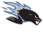 Mighty Sea Dogs Of Saint John Franchise™