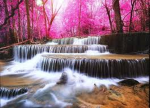 Natures Beauty Official