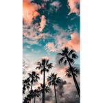 Aesthetic_Gal