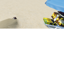 Beach day
