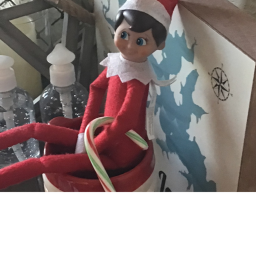 Look at my elfs