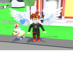 Sammie’s pet shop