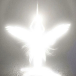 angel's luck ,³³³