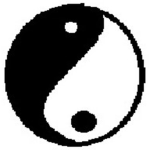 The Yin To The Yang