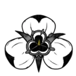 The Mariposa Lily Organization