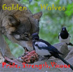 Golden Wolves