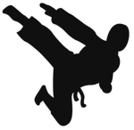 The Black Ninja Fighters