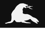 Black Hole Productions