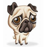 PugFanTeam