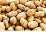 Big Potato Studios