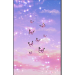 Butterfly1234