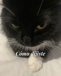 Panas finos pero mejor que me P.M.