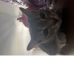 mia supremacyy