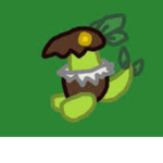 Coconut star group