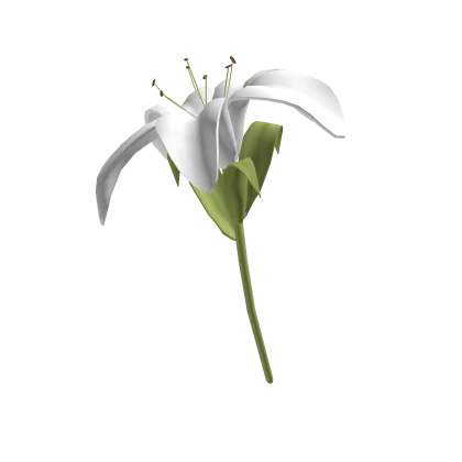 ♡ Large cute white lily flower 🌸 | Roblox Item - Rolimon's