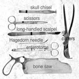 maggot baits