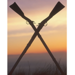 The Unknown Regiment Of A O T