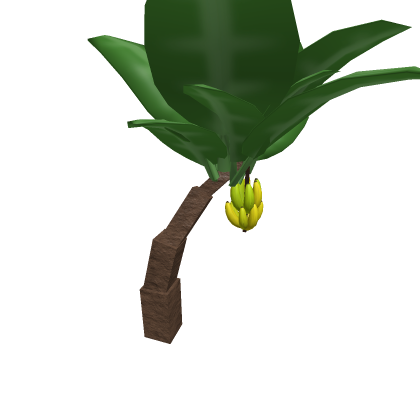 Banana Tree