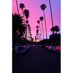 Vibe place <3