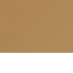 vionxp