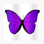Romina_unicorn