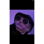 Die kaka Gang AHHAHAHAH