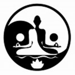 The Yin Yang Group