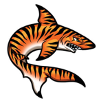 TigerFishStudios
