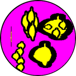 (Unaffiliated) The Sour