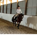 Horse People Of Roblox