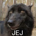 JEJ Fanclub