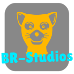 BlockRaiders - Studio